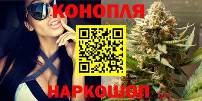 стаф Керчь